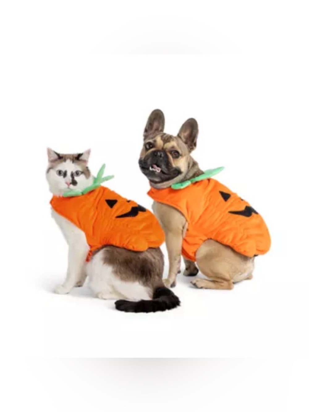 Pet Pumpkin Costume for Cats and Small Dogs - Orange